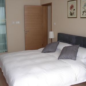 Family Apartment